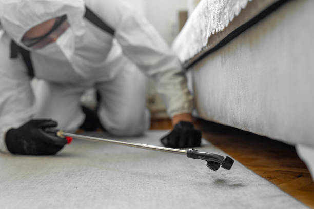 Professional Cockroach Control technician working in Hutchinson Island South, FL