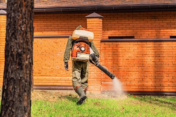 Trusted Mosquito Control service in Hutchinson Island South, FL - Nex Pest Control